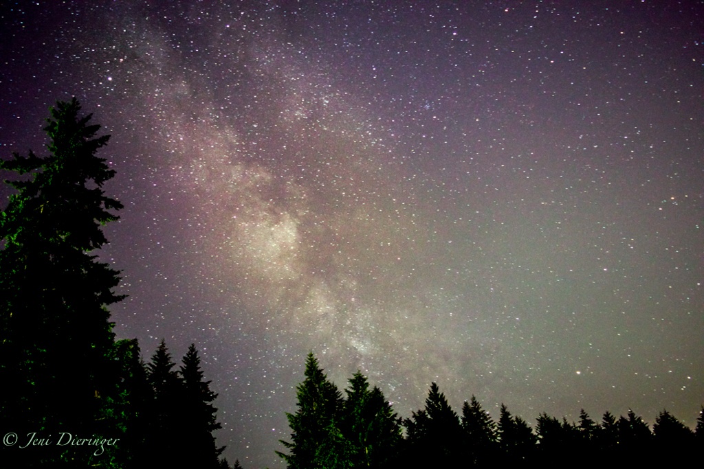Jeni Dieringer spent a night photographing the Milky Way between Bonney Lake and Buckley. The Milky Way is only visible from our hemisphere in the spring to late summer. Photo by Jeni Dieringer.