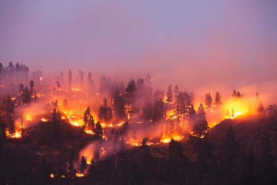 Fireworks caused majority of wildland fires in 2015 | State Fire Marshal