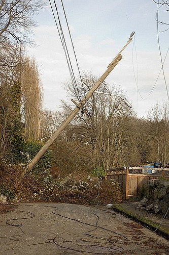 Preparing for the major wind storm | King County Emergency News