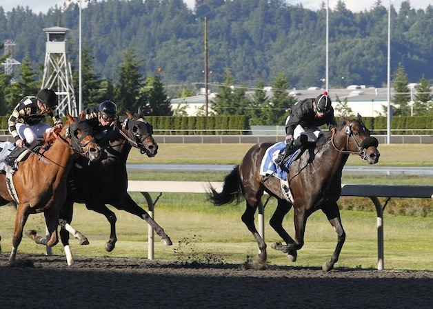 Finallygotabentley (right) holds off Disruption (far left) to win the 2013 Auburn Handicap at Emerald Downs. The two horses meet again Sunday in the $50