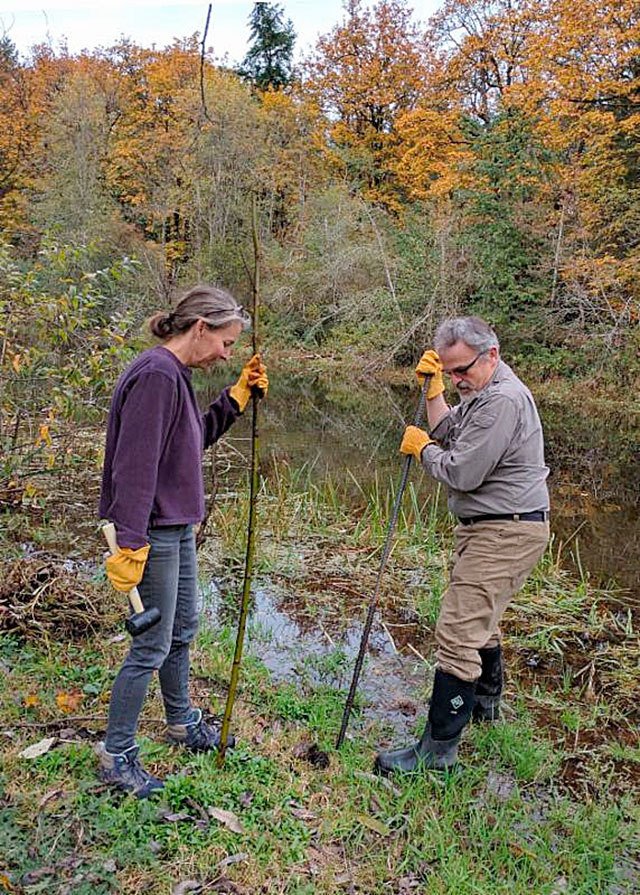 Natural Resources students Mari Knutson (left) and Peter Martinez remove invasive species at Jenkins Creek. Submitted photo.
