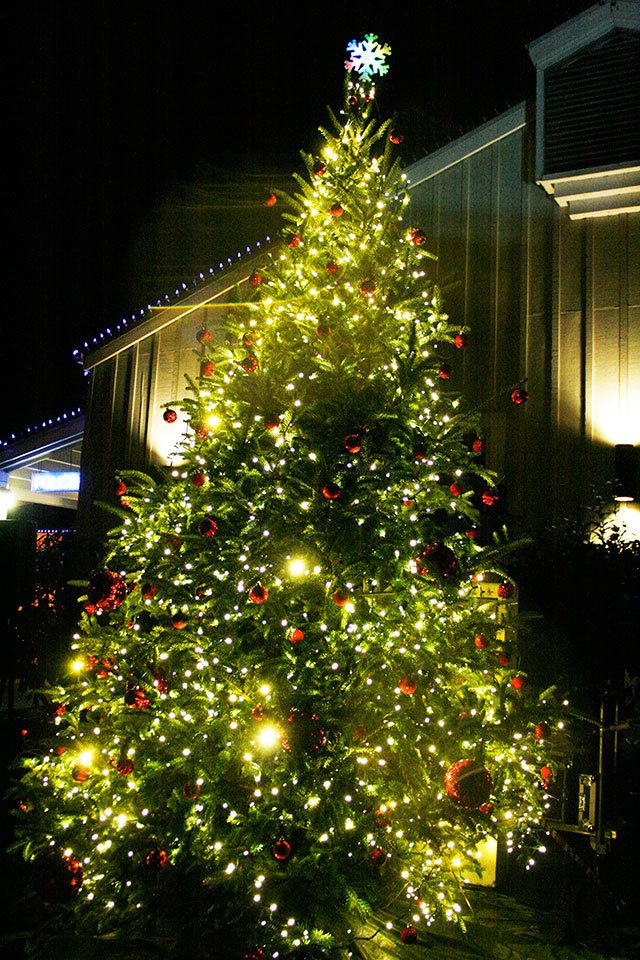 Bonney Lake&rsquo;s 2015 tree lighting. Photo by Ray Still.