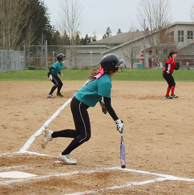 Another run for the Panthers