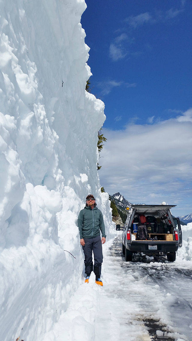 A Department of Transportation worker standing by a wall of snow after Chinook Pass was cleared today, June 9. Contributed photo