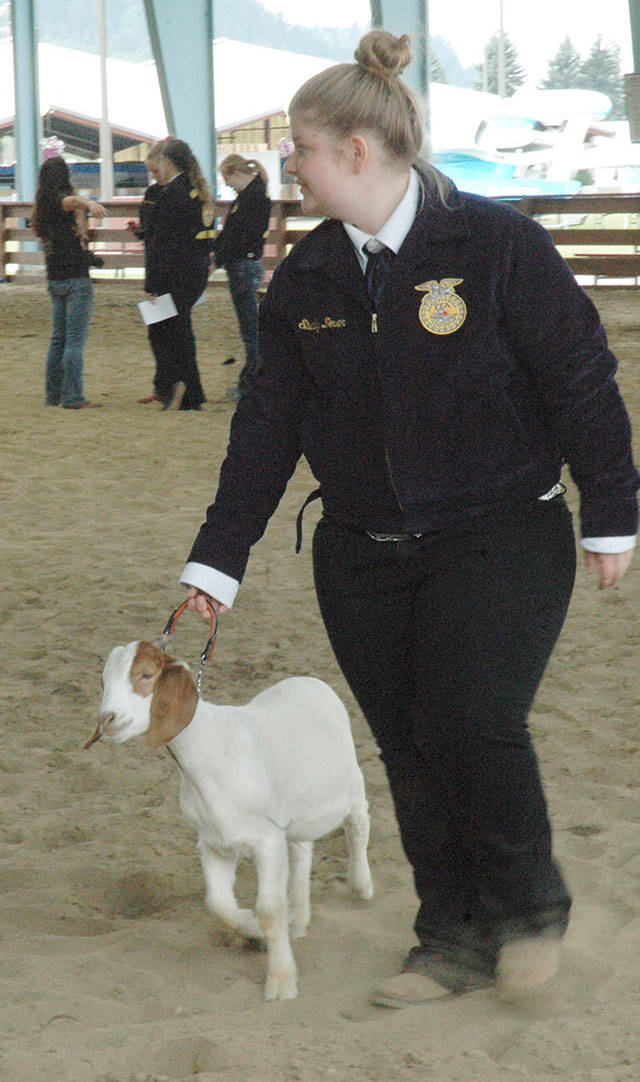 Local students will return to the 2017 King County Fair to compete in FFA competitions. File image