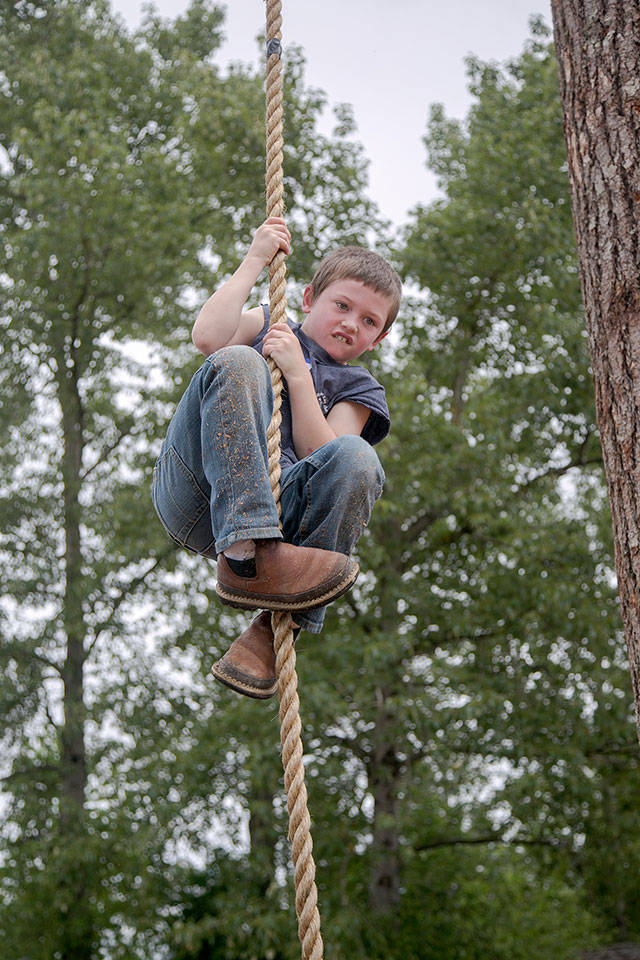 Familiar names among Log Show winners