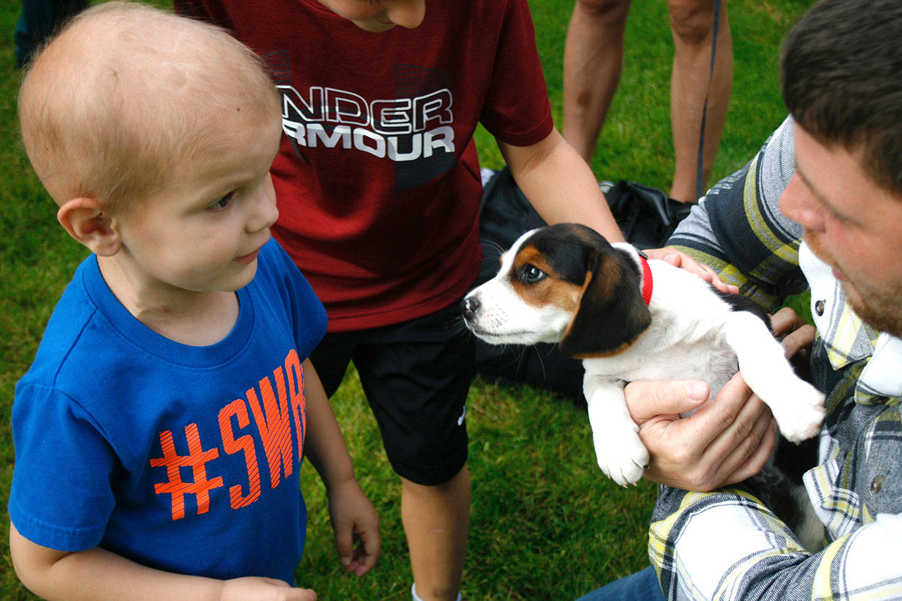 Hunter Coffman was presented with a beagle puppy as his Make-A-Wish Foundation wish on June 19. Photo by Kayse Angel, Covington Reporter