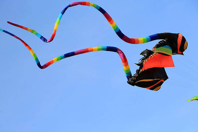 Take flight at the Annual Kite Festival | Pierce County