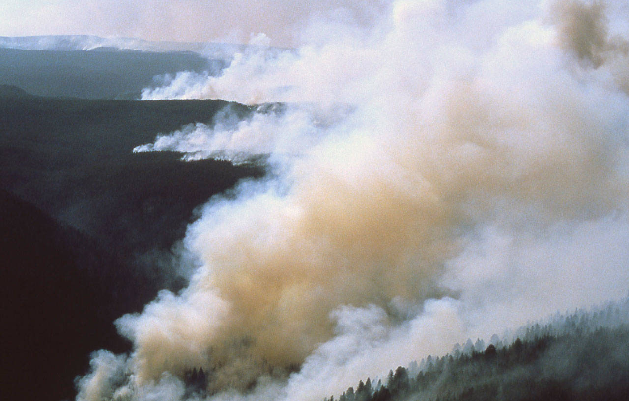 Smoke from regional wildfires returns to the area | Tacoma-Pierce County Health Department