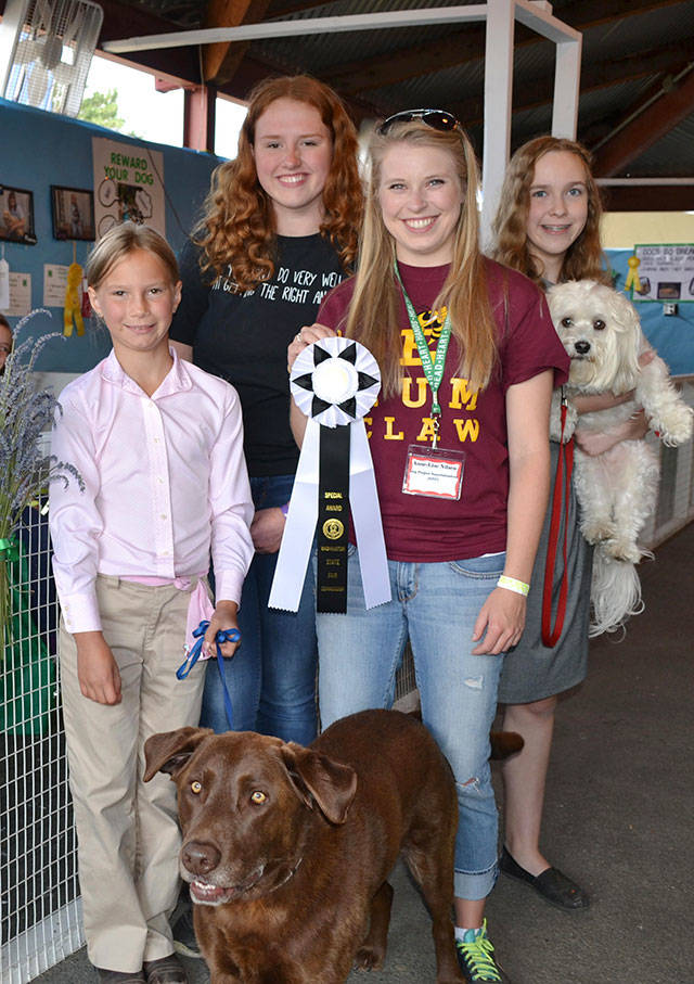 Smiles were plentiful during the 2017 King County Fair, particularly in the Dog Barn. Showing off the ribbon awarded to the fair were, from left, Haley Dumontet from Enumclaw, with chocolate lab Coco; Catherine Kirschbaum, also from Enumclaw; Anne-Lise Nilsen, dog project superintendent (holding the ribbon); and Emile DeBoer from Auburn, age 14, holding her Havanese Milo. Contributed photo