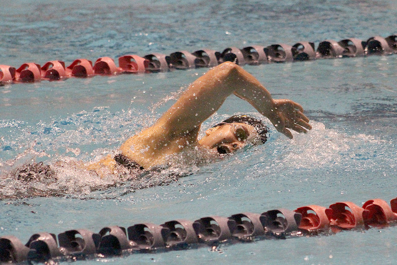 Local swimmers, diver compete at state meet