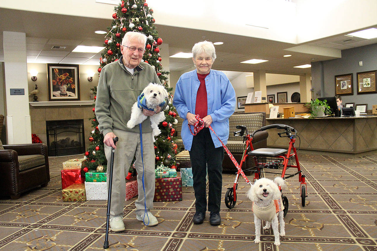 Bob Terrell and Peggy Burley with their dogs, Gracie and Buster, who helped the two reconnect at Cedar Ridge in Bonney Lake after 66 years when they first met as teacher and student. Photo by Ray Still