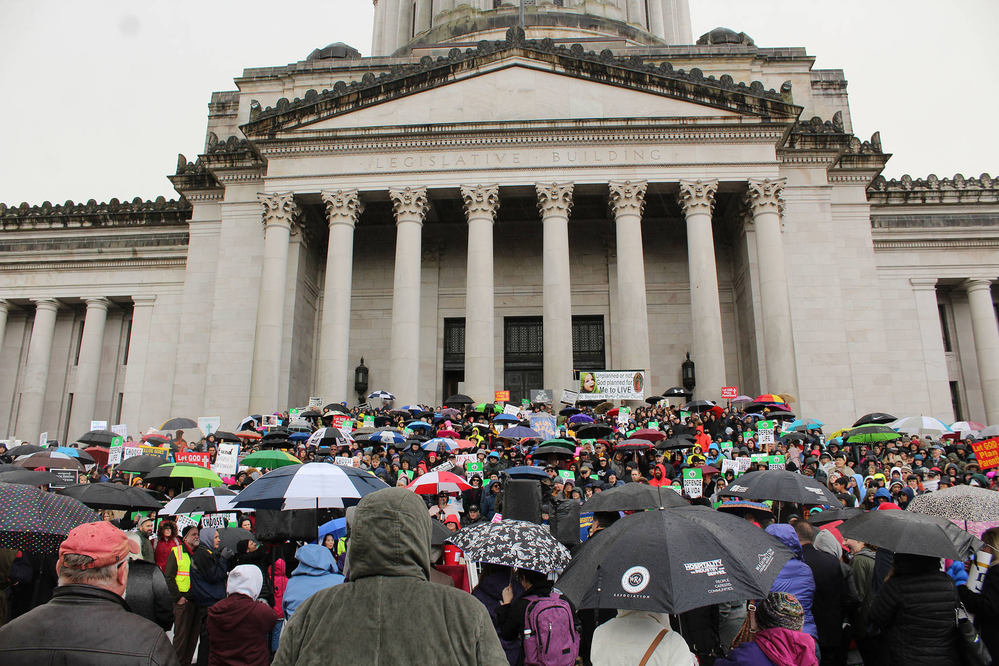 Hundreds of people turned out for the annual March for Life. Photo by Taylor McAvoy