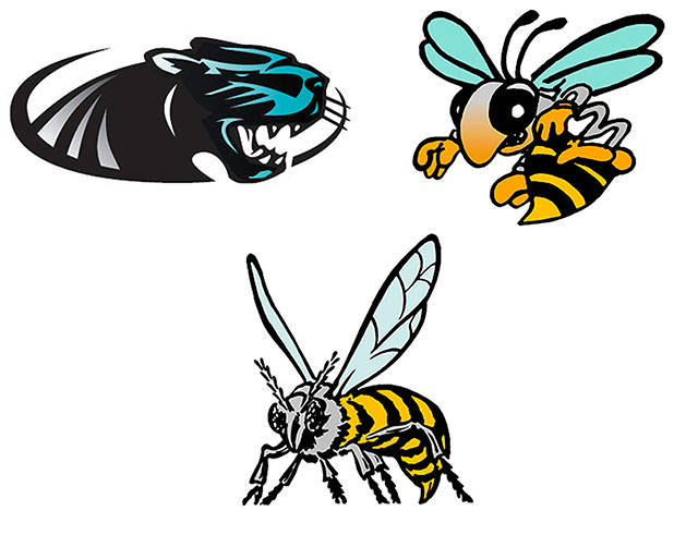 List of nation’s top female wrestlers includes Plateau trio