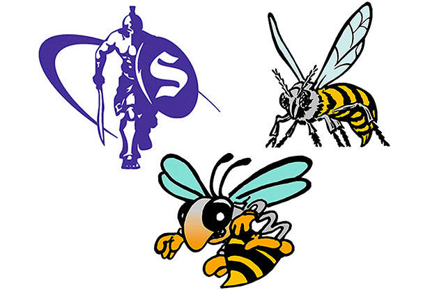 Top gymnasts primed for state