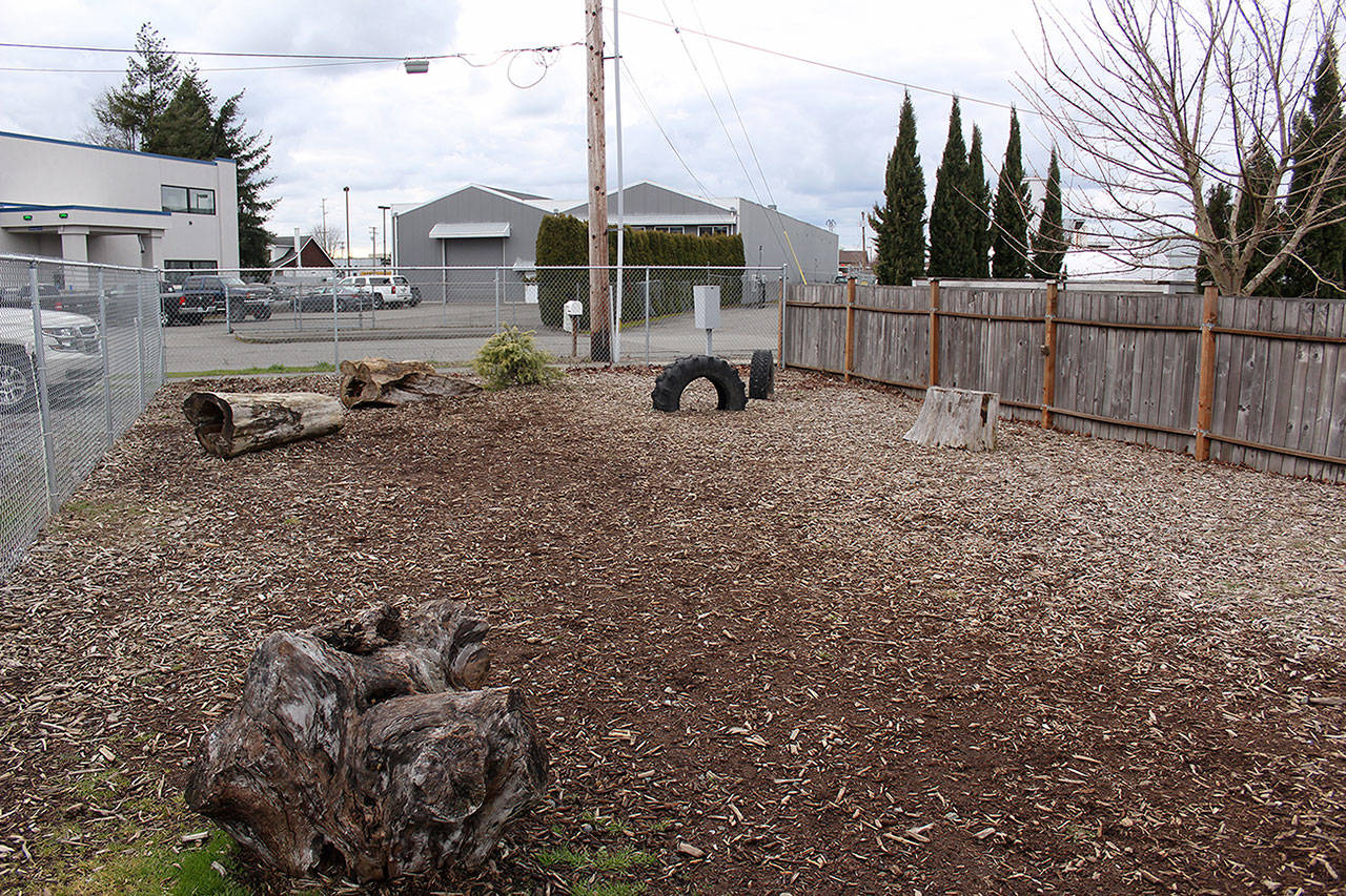 The only off-leash dog park in Enumclaw is at Cobber’s Pet Pantry, and is a small, fenced area outside the shop. Photo by Ray Still