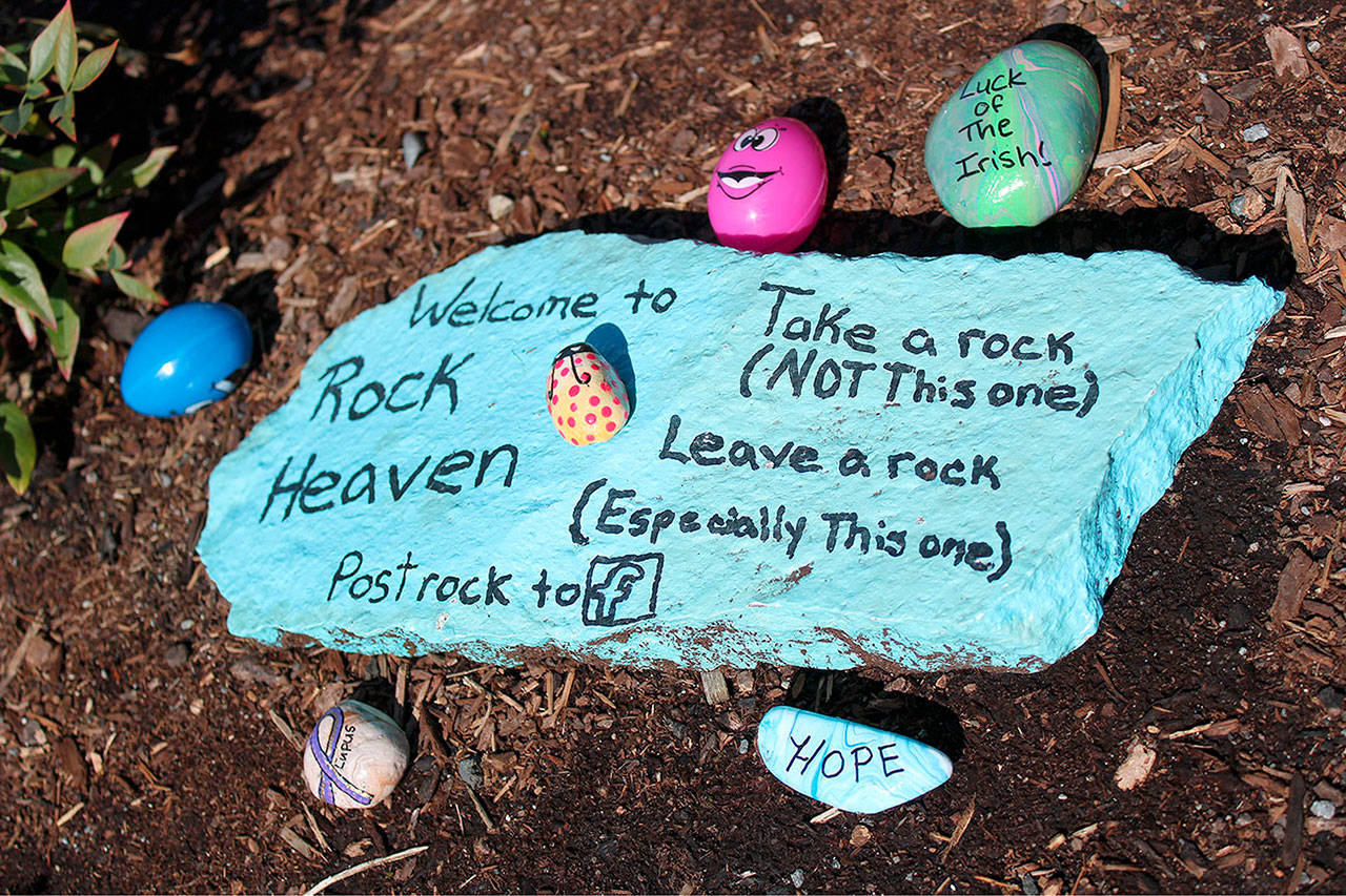 Rock Haven, located in front of Bonney Lake’s Pet Pros, is a great place in the city to find rocks to paint or leave rocks for others to find. Photo by Ray Still
