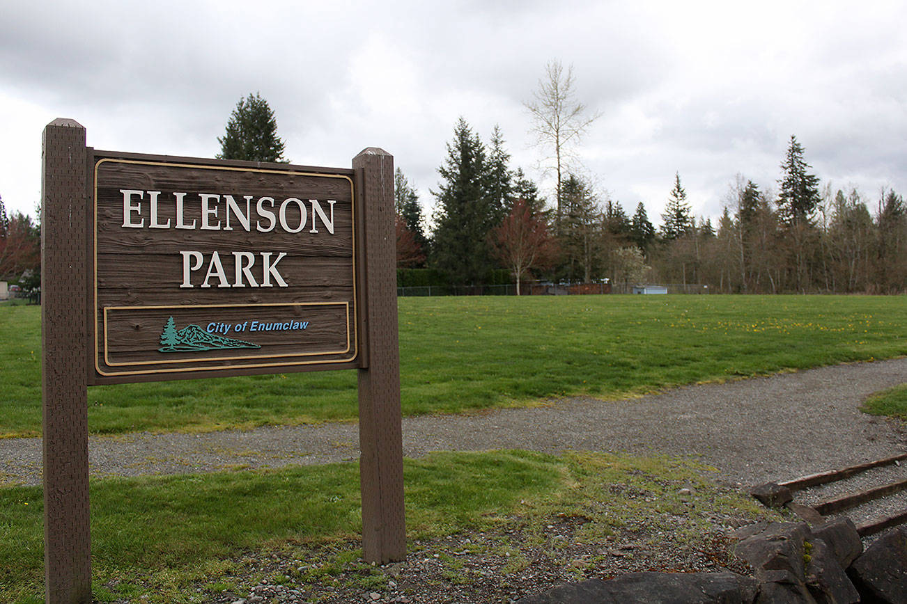 Ellenson park likely site for new Enumclaw dog park