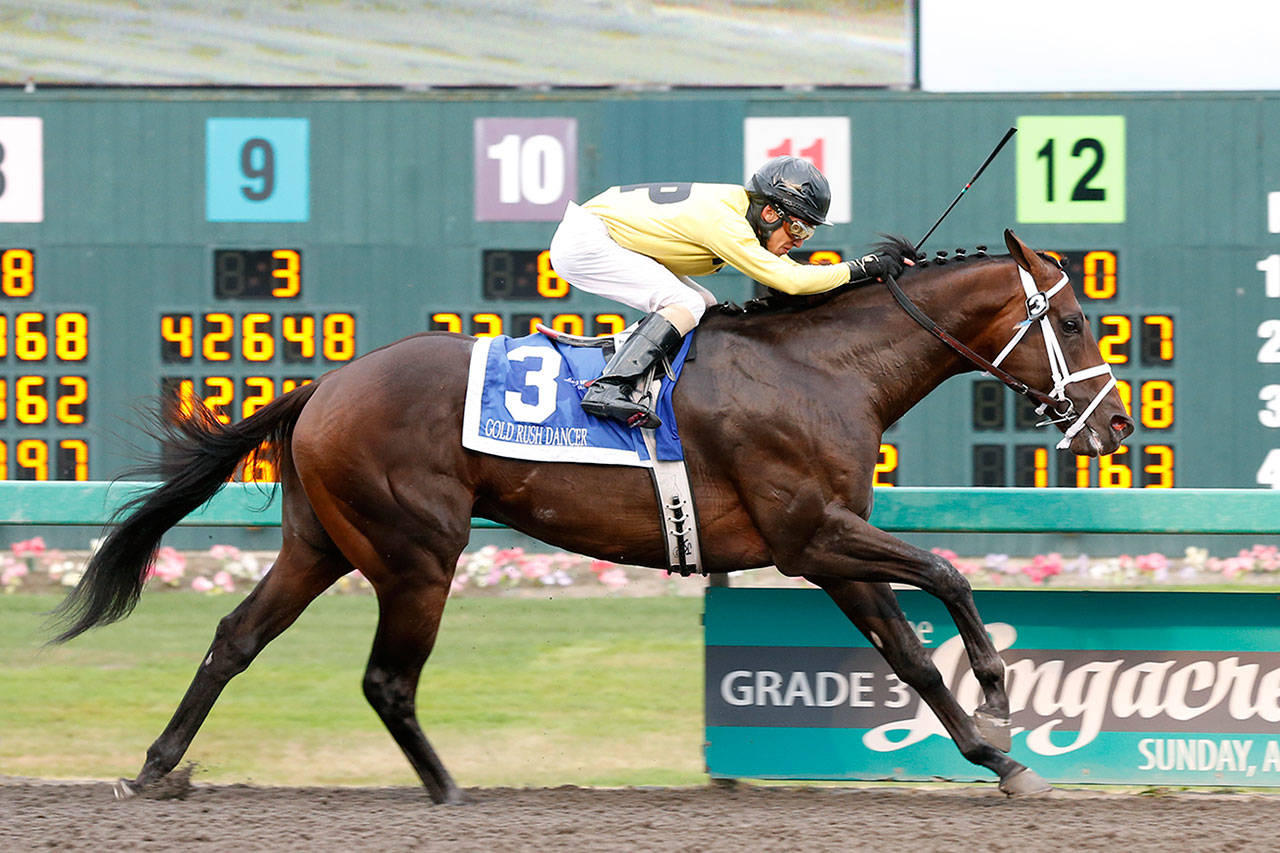 Gold Rush Dancer won last year’s Longacre Mile by four and three-quarter lengths, beating out Mach One Rules. Photo courtesy Phil Ziegler
