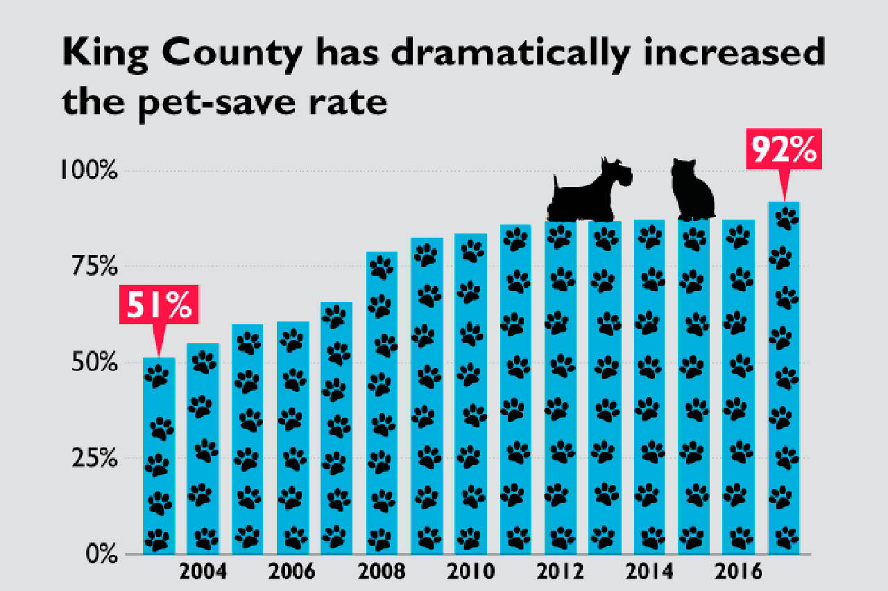 Close to 3,000 animals were adopted in King County in 2017. Image courtesy of King County