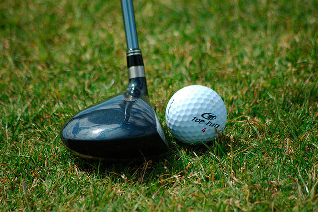 State golf: Franklin third, Hornet girls place seventh