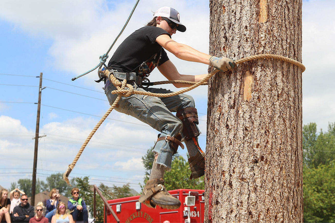 Wyatt Hodder same in third in one of this year’s tree climbing competitions. Photo by Ashley Britschgi