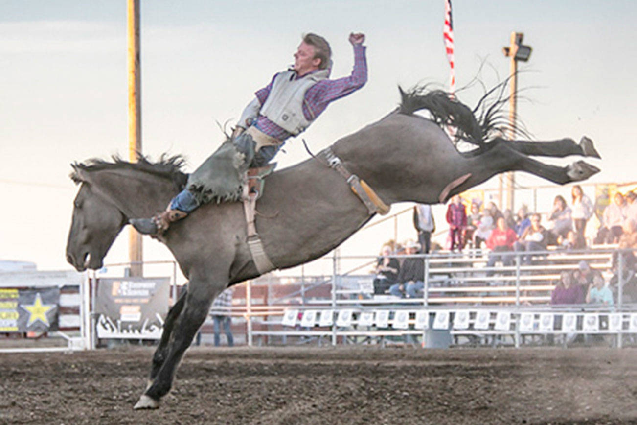 Enumclaw’s Cole Snider caps rodeo season with bareback title
