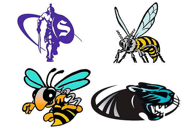 Local runners qualify for state XC championships