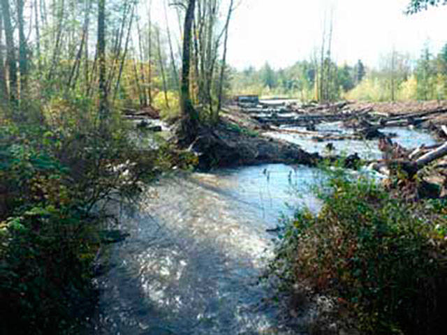 This is how Boise Creek looks after a 2009 restoration, but more work needs to be done to keep the area beautiful. Image courtesy King County