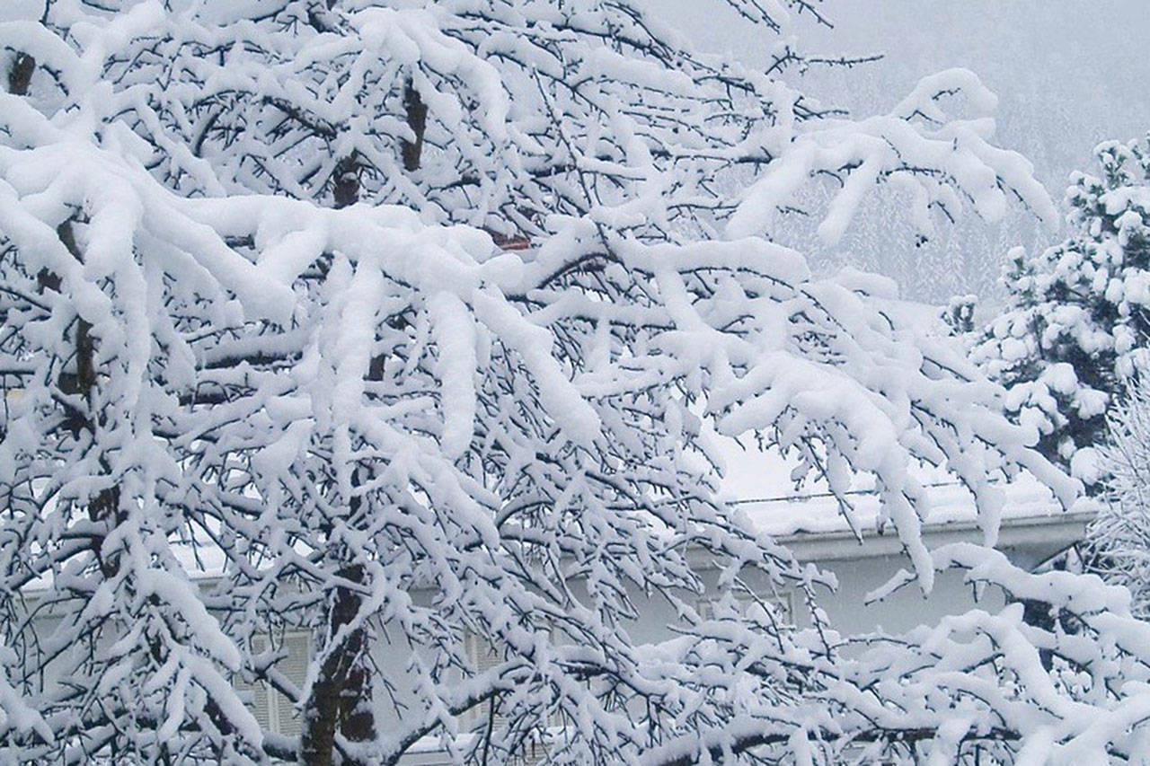 Enumclaw woman dies due to weather conditions