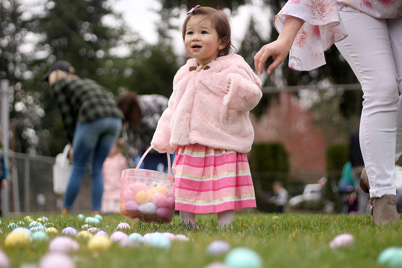 Rhylan Lee at last year’s city of Bonney Lake Easter egg hunt at Allan Yorke Park. Photo by Ray Miller-Still