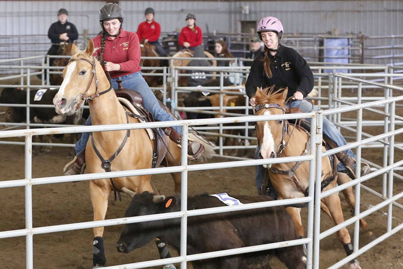 Local riders take honors in state equestrian meet