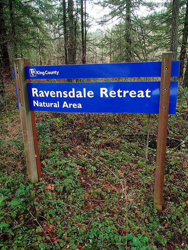 The Ravensdale Retreat Natural Area will be closed to the public so work crews can thin out some of the trees. Image courtesy Harry Biped/www.harrybipedhiking.com