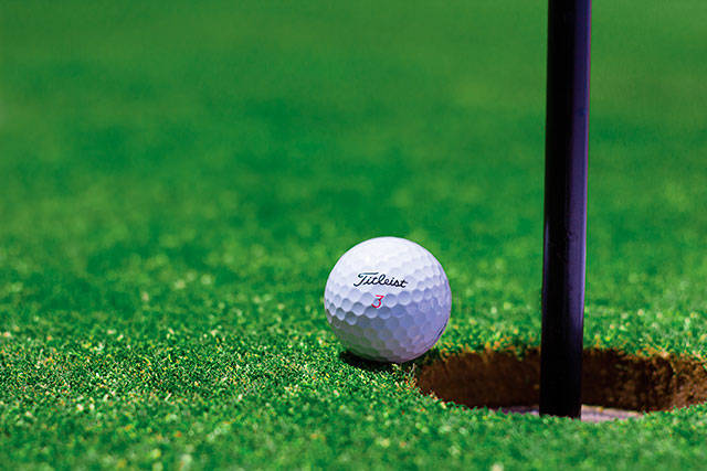 Local golf teams finish 48-0 in league matches