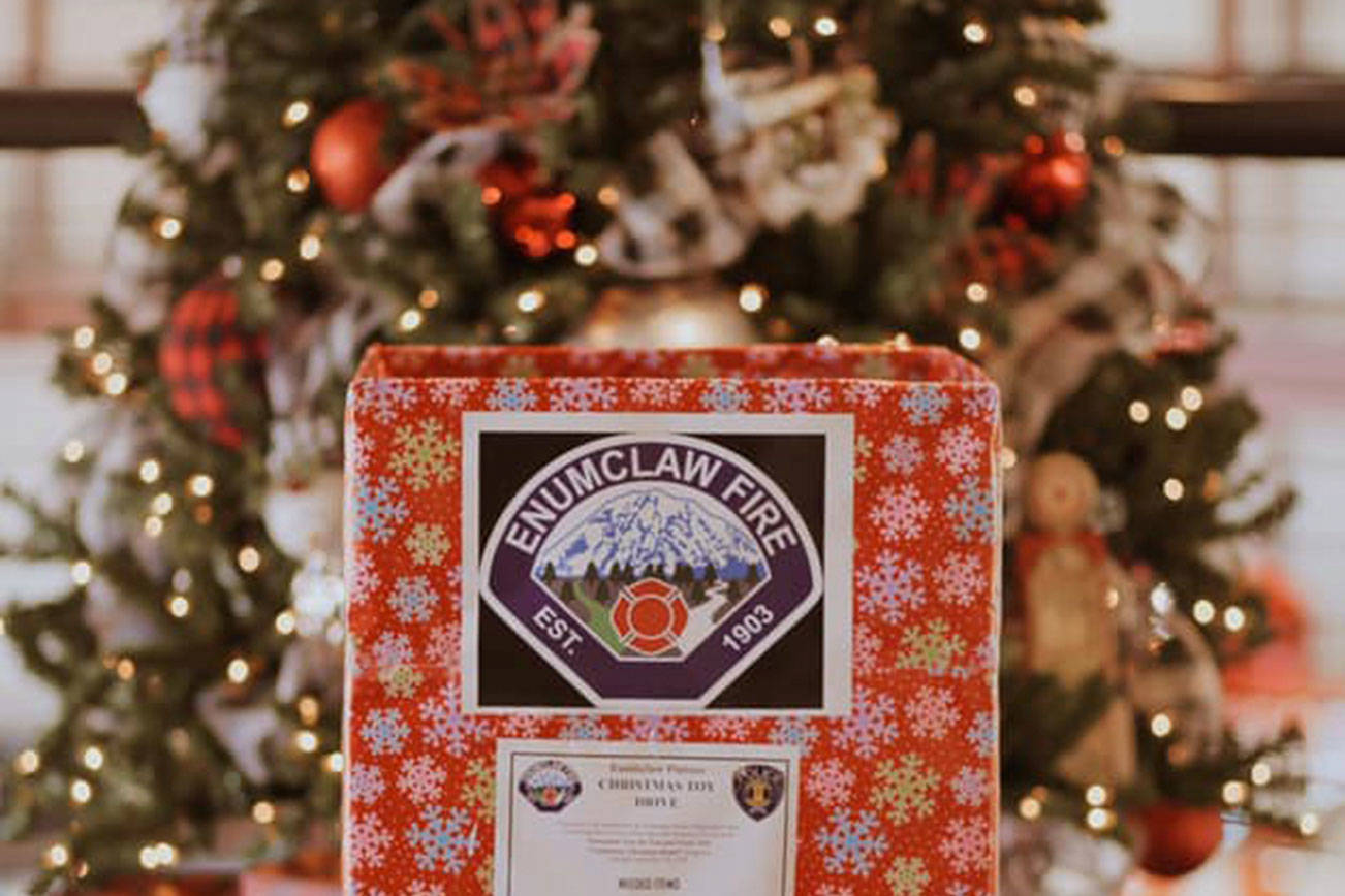 Giving Trees, Cops for Kids can make the season brighter for local children