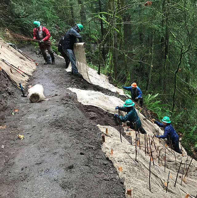 As as part of the Cal Magnussen Trail repair project, volunteers from the Washington Trails Association helped install erosion control materials. Photo courtesy King County Parks