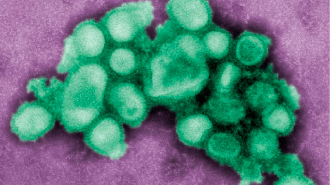 Image courtesy Public Health Insider.