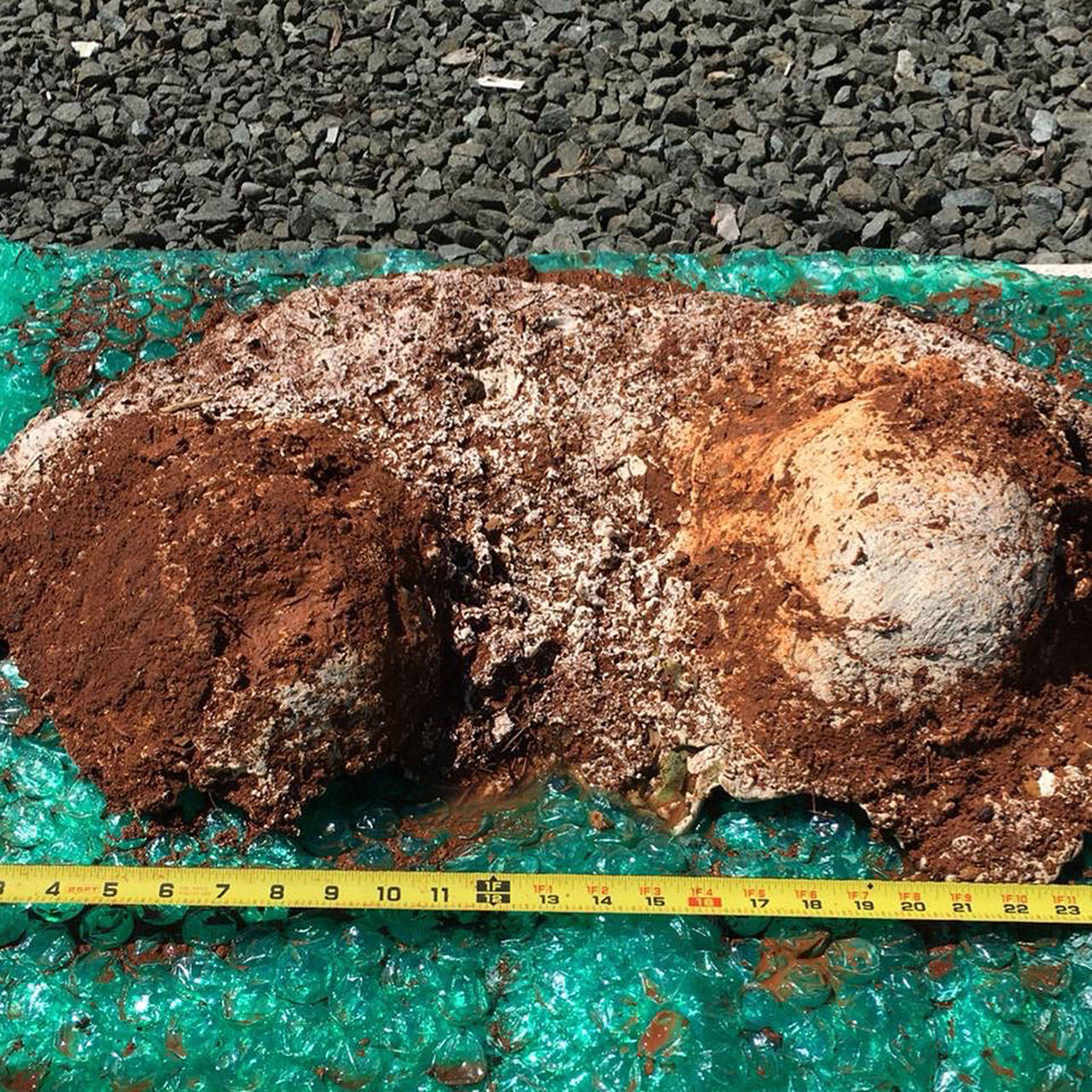Pictured are what Sasquatch researcher and paranormal podcast host Tobe Johnson believes to be Bigfoot knee prints, which he found in Cottage Grove, Oregon. The knee prints also came with suspected hair samples, which were reportedly unable to be identified. Photo courtesy Tobe Johnson