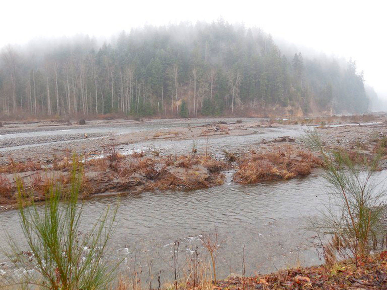 The Carbon River’s migration has eroded the Charles Crocker Levee alongside the Foothills Trail. Photo courtesy Washington Trails Association / https://www.wta.org/go-hiking/hikes/foothills-trail