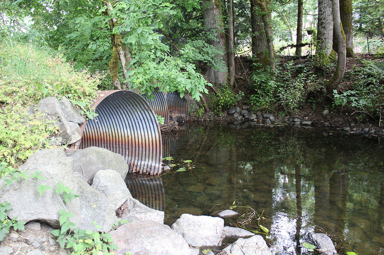 Instead of replacing these culverts that run water under 224th Avenue Southeast, the city expects to build a bridge so water from Lake Sawyer can pass unimpeded. Photo by Ray Miller-Still