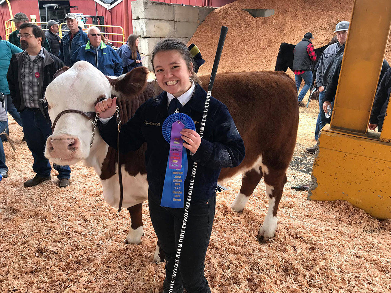 Pictured is former Enumclaw FFA Vice President Ruby Anderson with her first-place bovine during the 2019 Junior Livestock Show at the Puyallup Spring Fair. Anderson has gone on to study agriculture at Washington State University, and was a workshop leader for the 2020 EMERGE Leadership Conference for the Greenhand Track. Photo courtesy Enumclaw FFA