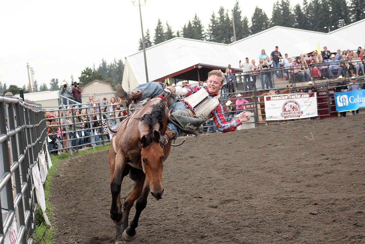 Although the 2020 Enumclaw Pro Rodeo is cancelled, the Pro Rodeo Association is promising next year to be bigger and better than ever. Here are a photo from last year, picturing Cole Snyder, who managed to score 74 points on the bareback event despite nearly getting smashed into a fence. Photos by Ray Miller-Still