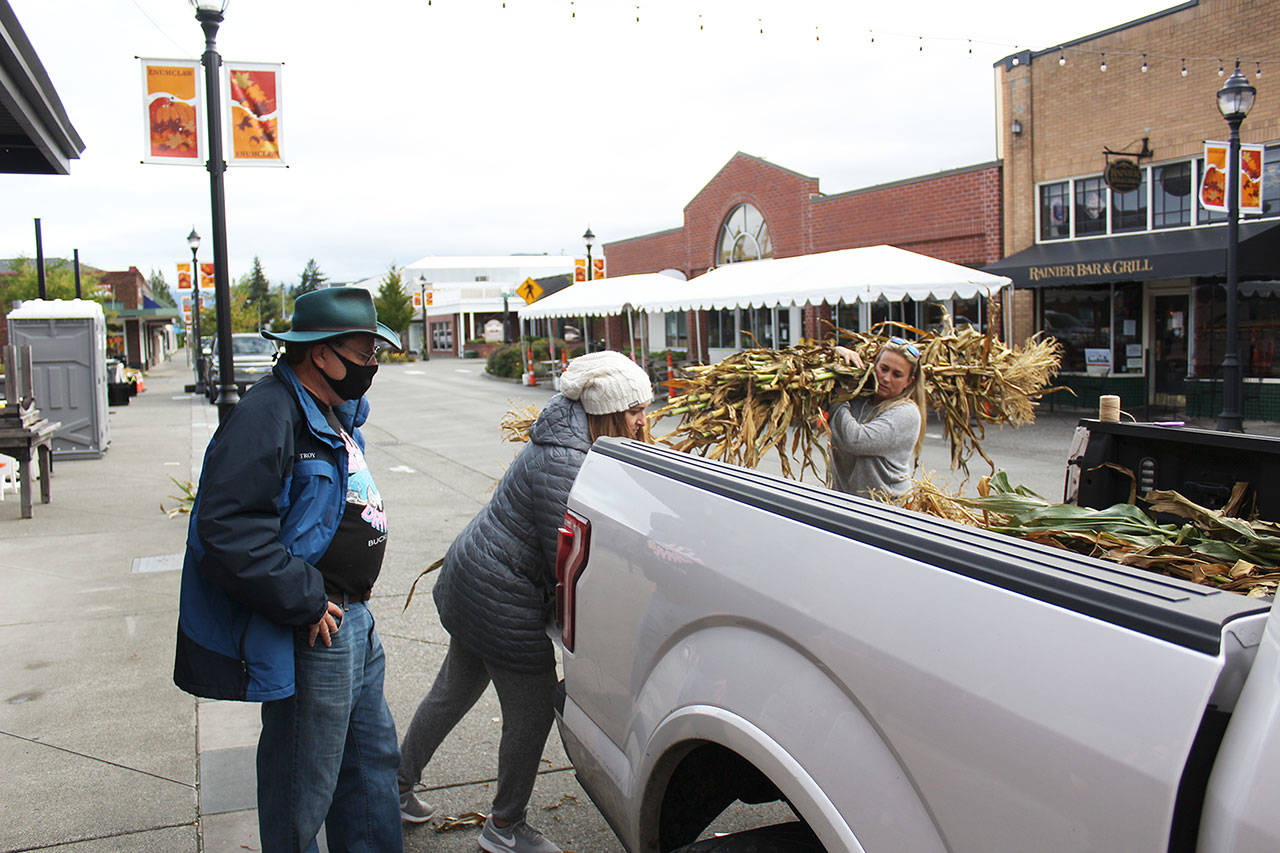 Volunteers organized to tie up corn stalks to street lights at the end of September in preparation for the Friday Night Market. Photo by Ray Miller-Still