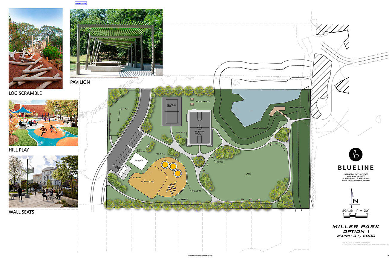 One of the three designs for the future Miller Park. More designs can be found at https://buckleyparks.wixsite.com/.