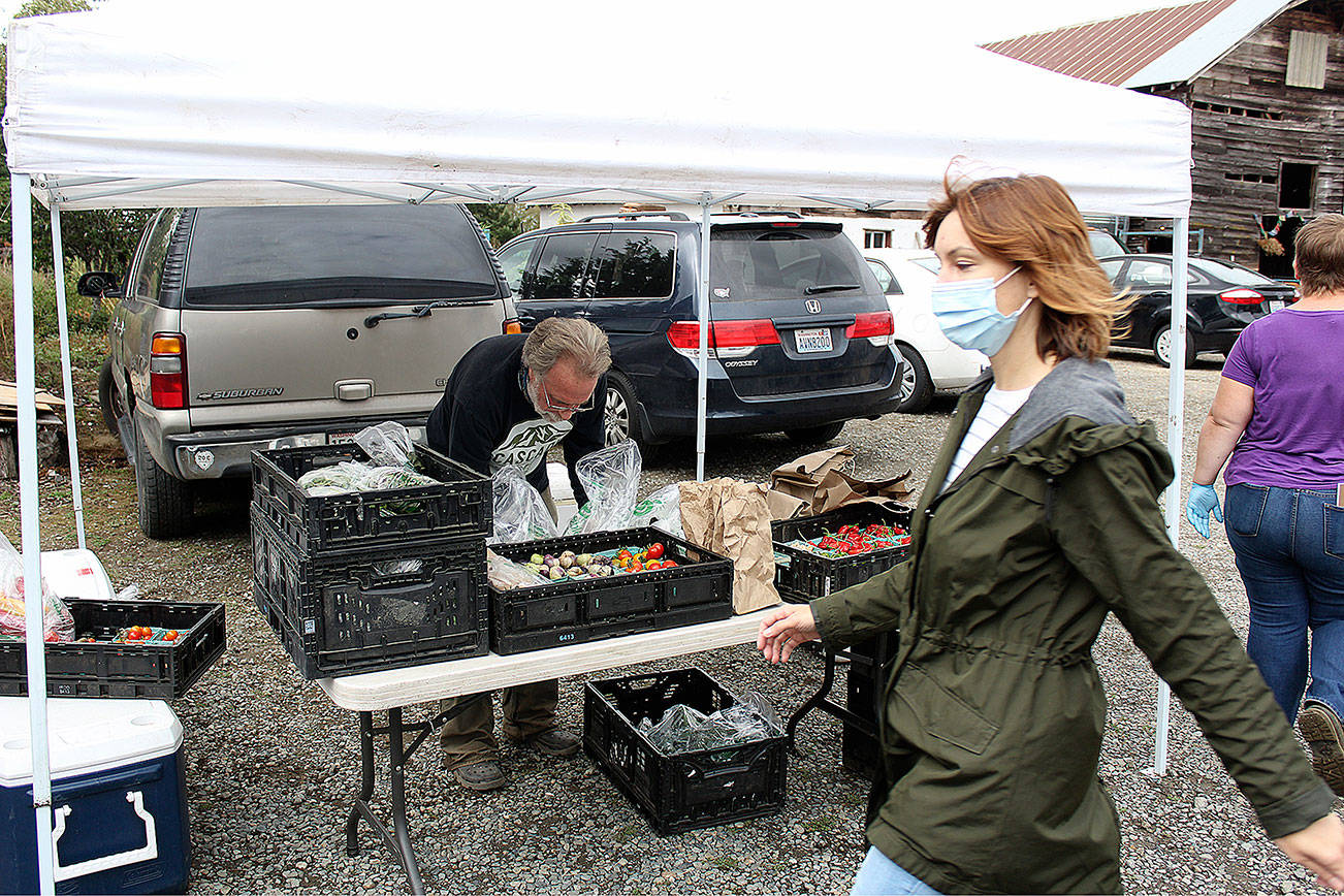 Instead of traditional farmers markets, shoppers pre-order their food from vendors like Robin Hones of Cascadia Greens, who then package up the order and drop it off in your car on market day. Photo by Ray Miller-Still