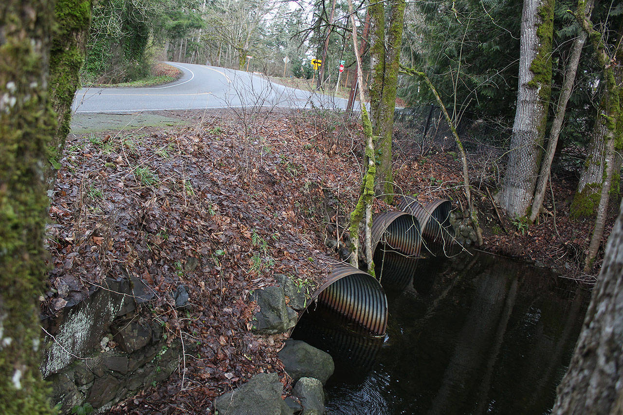 These culverts run water fromLake Sawyer underneath 224th Avenue Southeast to Covington Creek. But soon, this stretch of road will be a bridge instead. Photo by Ray Miller-Still