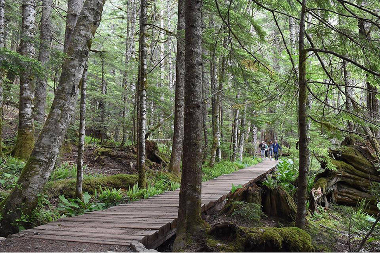 Visitors walk along a boardwalk through a marshy area in the Longmire Meadow on the Trail of the Shadows in this public domain image taken from the National Parks Service.