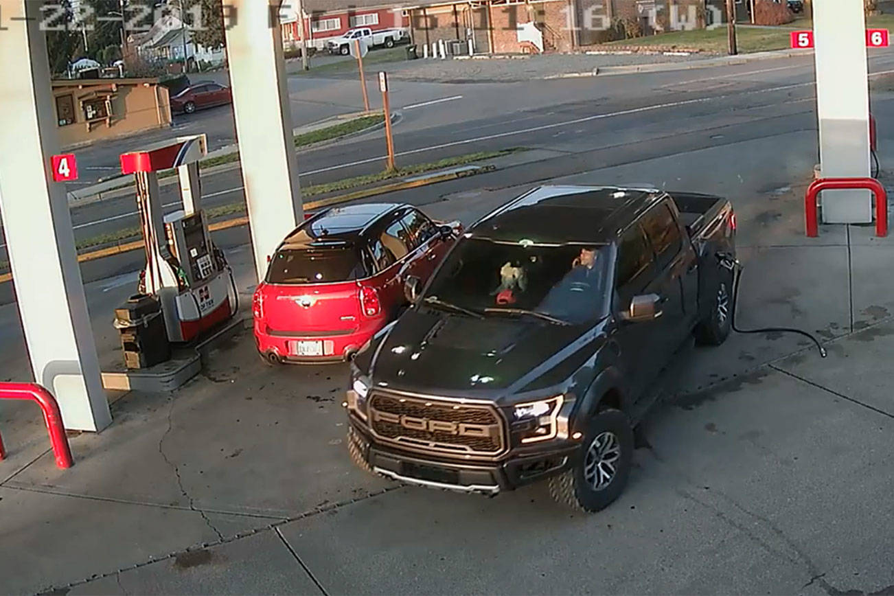 This security footage at the Cenex gas station in Black Diamond shows Anthony Chilcott on his phone before entering, and driving off with, Carl Sanders' Ford Raptor and Monkey, his poodle, in the front seat. Image courtesy Cenex gas station