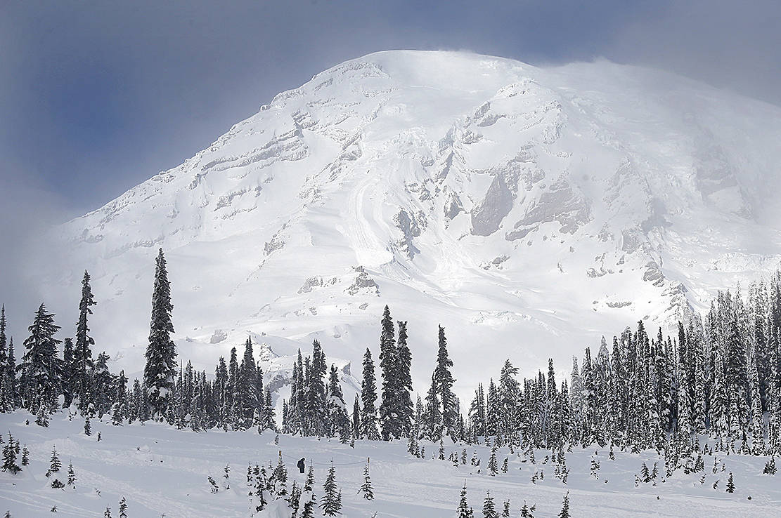 In this photo taken Friday, Dec. 16, 2016, Mount Rainier fills the sky behind as a group of snowshoers head out of the Paradise area for an outing at Mount Rainier National Park, Wash. (AP Photo/Elaine Thompson)
In this photo taken Friday, Dec. 16, 2016, Mount Rainier fills the sky behind as a group of snowshoers head out of the Paradise area for an outing at Mount Rainier National Park, Wash. (AP Photo/Elaine Thompson)