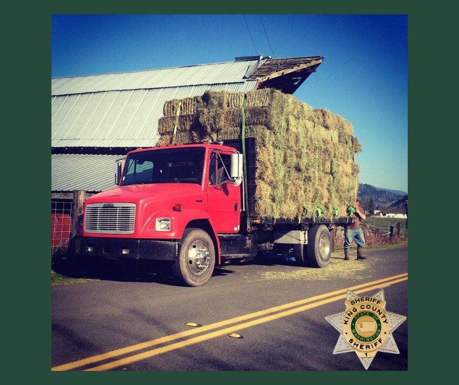 An image shared by the King County Sheriff's Office of the truck stolen on Aug. 18 from an Enumclaw area farm.